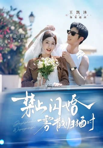 禁止闪婚，雾散归栖时