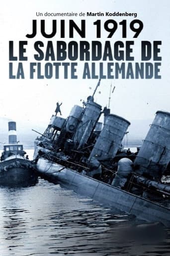 Dreadnought Destruction: Sinking the German High Seas Fleet